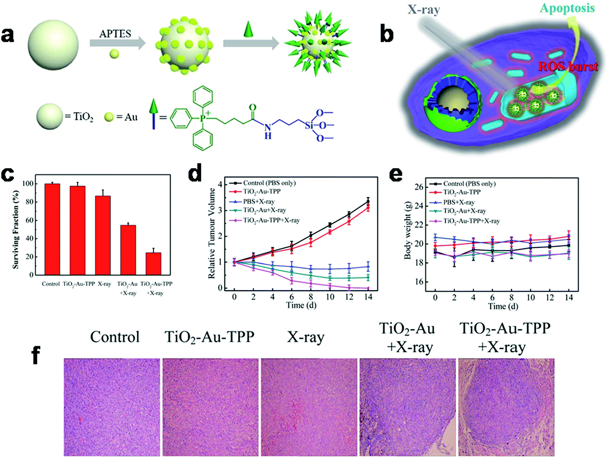 Organelle Localized Radiosensitizers Chemical Communications Rsc Publishing Doi 10 1039 D0ccj