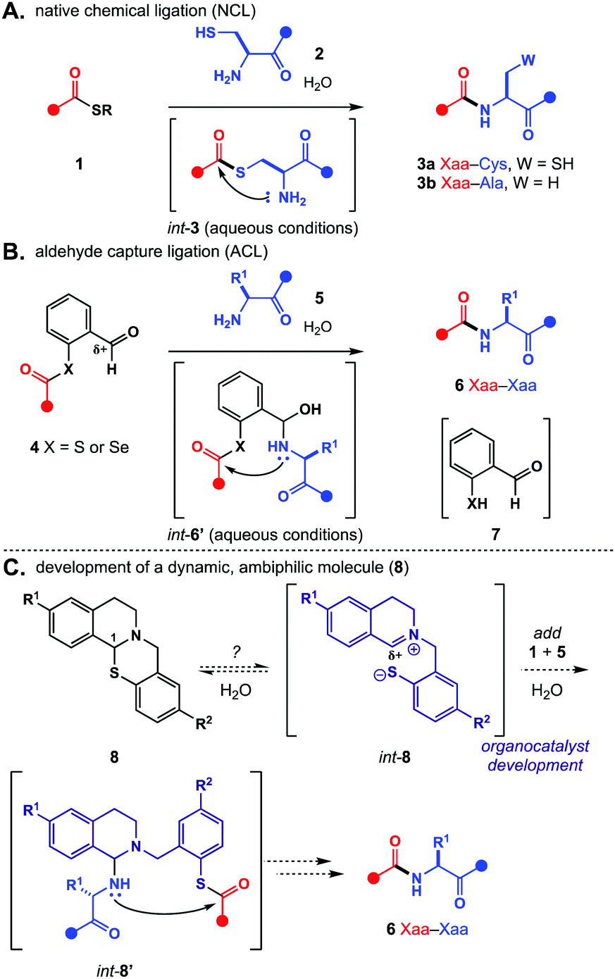 Design Synthesis And Characterization Of Structurally Dynamic Cyclic N S Acetals Chemical Communications Rsc Publishing Doi 10 1039 D0ccc