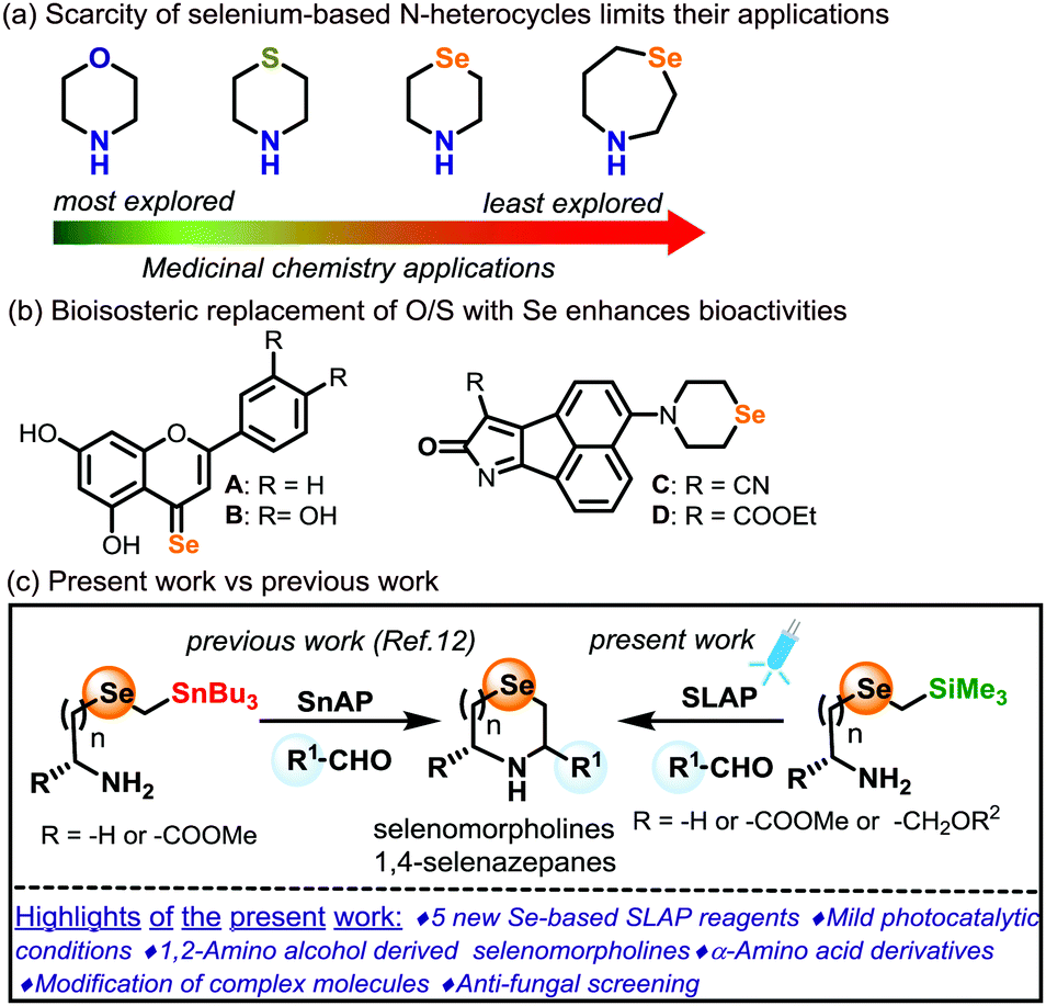 Slap Reagents For The Photocatalytic Synthesis Of C3 C5 Substituted N Unprotected Selenomorpholines And 1 4 Selenazepanes Chemical Communications Rsc Publishing Doi 10 1039 D0ccg