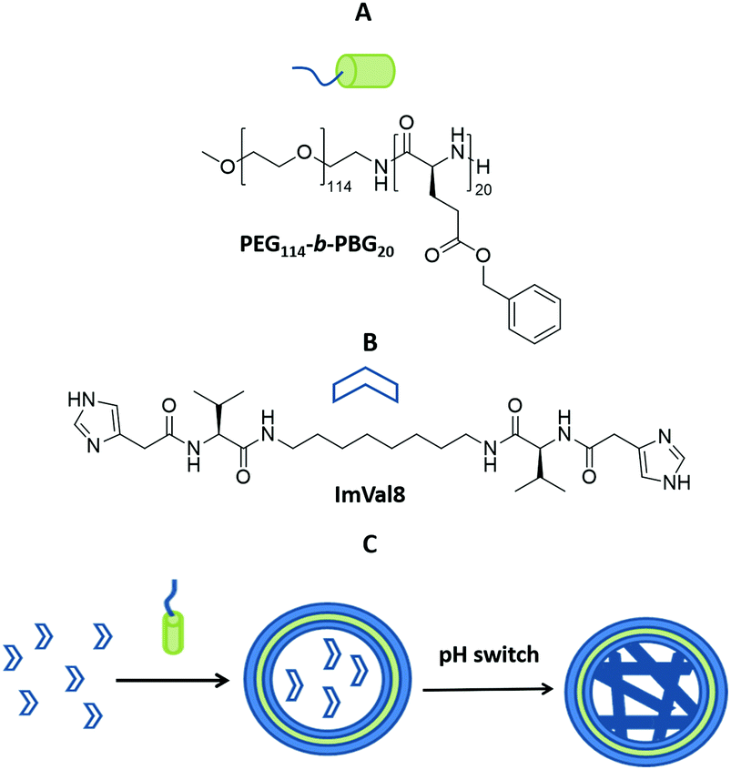 A Minimalistic Catalytically Active Cell Mimetic Made Of A Supra Molecular Hydrogel Encapsulated Into A Polymersome Chemical Communications Rsc Publishing Doi 10 1039 D0ccg