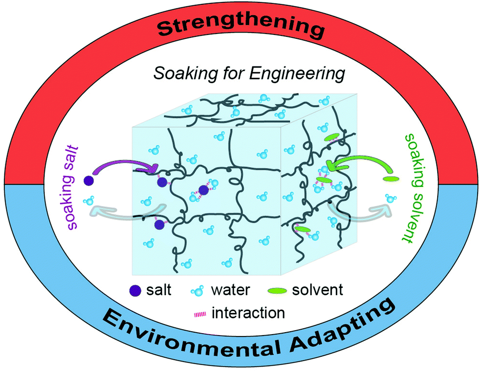 Engineering hydrogels by soaking: from mechanical strengthening to 