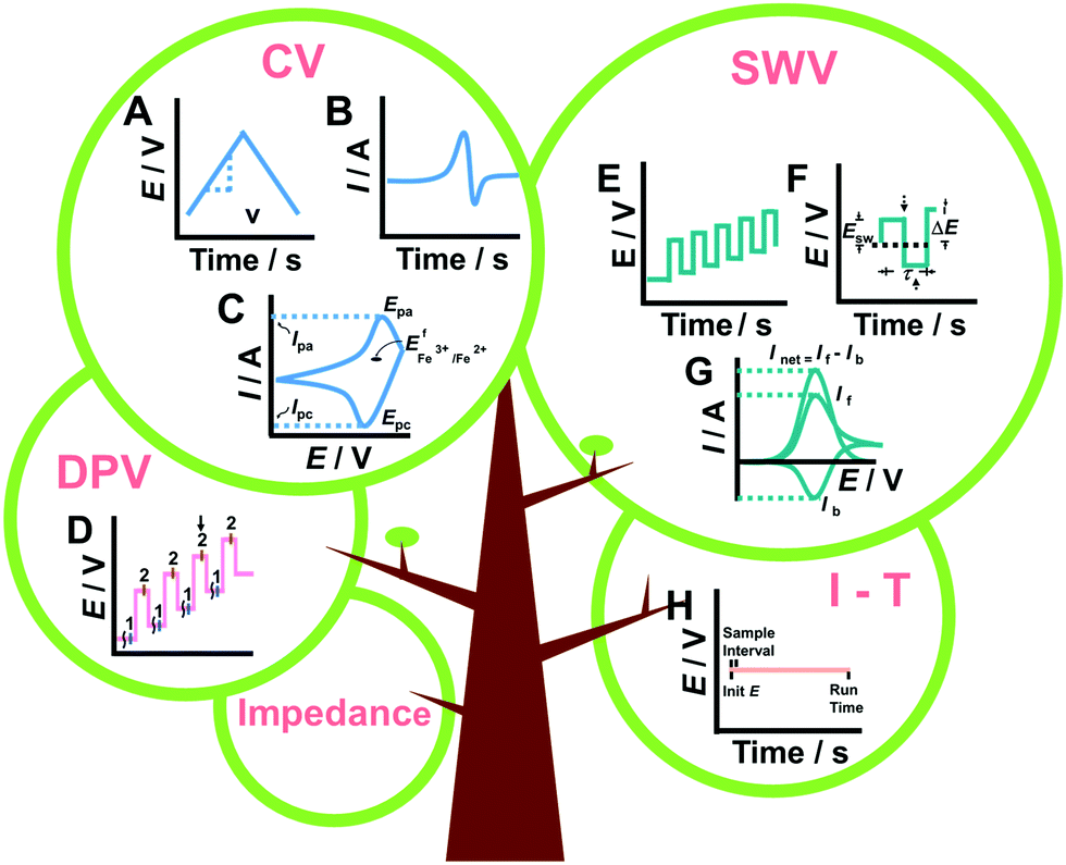 Detection Of Pollutants In Water Bodies Electrochemical Detection Or Photo Electrochemical Detection Chemical Communications Rsc Publishing Doi 10 1039 D0ccf