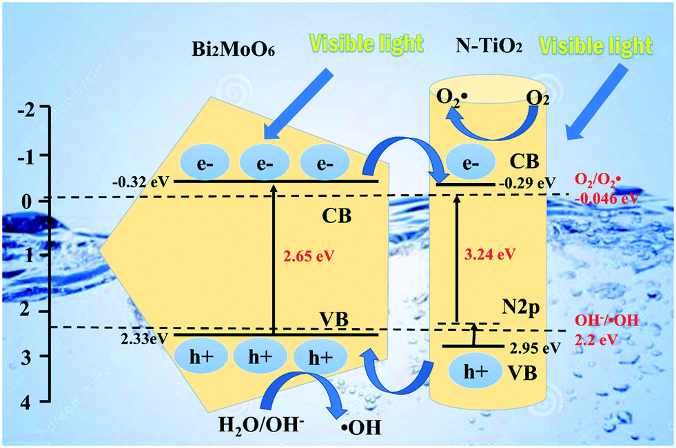 Fabrication of a high-adsorption N–TiO 2 /Bi 2 MoO 6 composite 