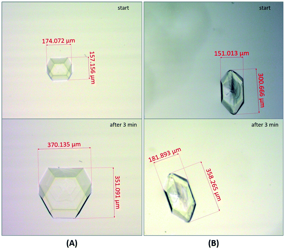 Crystallization Behavior Of Citric Acid Based On Solution Speciation And Growth Kinetics Crystengcomm Rsc Publishing Doi 10 1039 D0ced