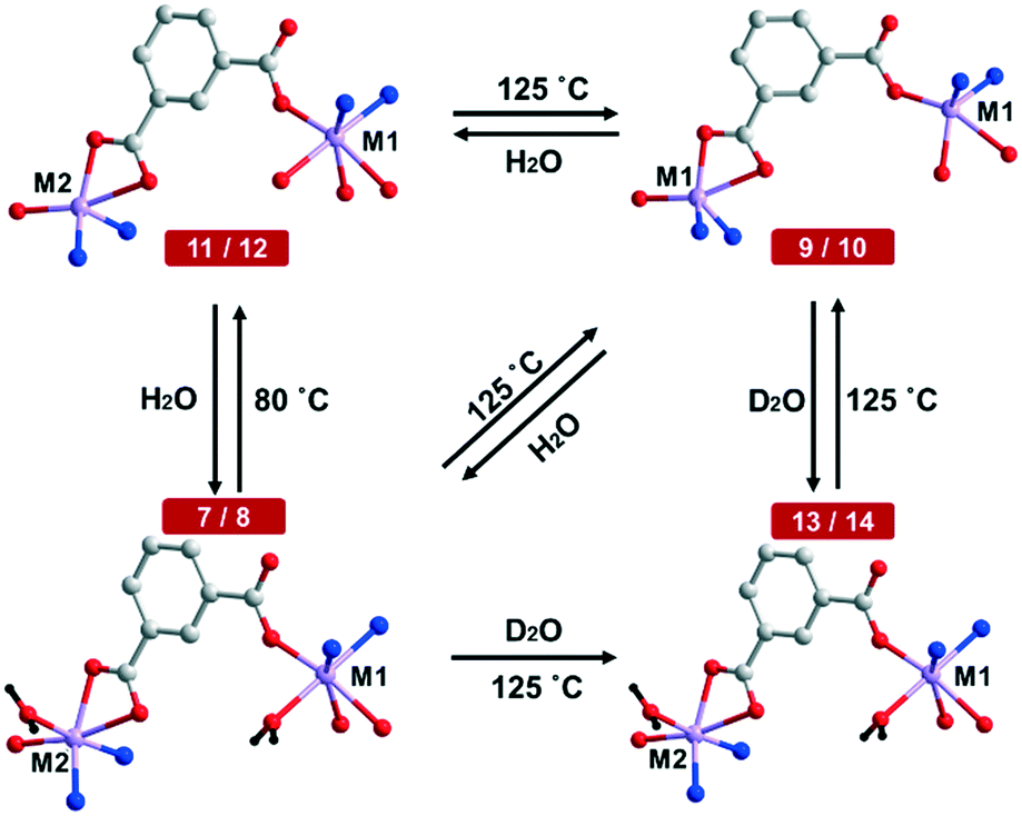 The effect of coordinated solvent molecules on metal