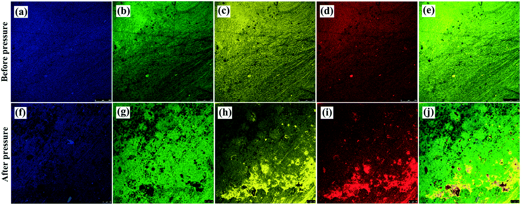 Construction of stereocomplex granular dams in luminescent 