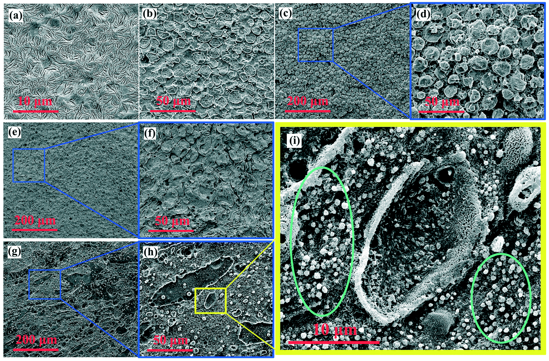 Construction of stereocomplex granular dams in luminescent 