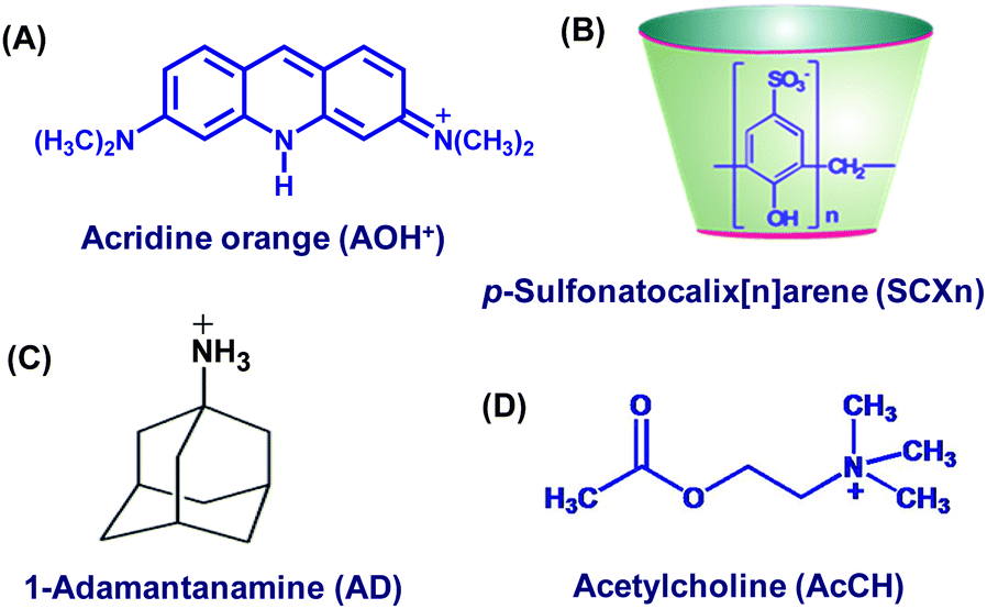 Multimode Binding And Stimuli Responsive Displacement Of Acridine Orange Dye Complexed With P Sulfonatocalix 4 6 Arene Macrocycles Physical Chemistry Chemical Physics Rsc Publishing Doi 10 1039 D0cpb