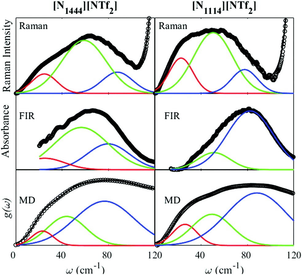 An inelastic neutron scattering, Raman, far-infrared, and 