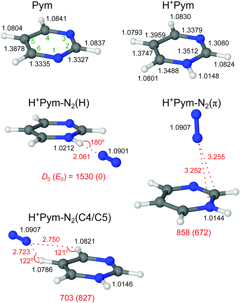 Microhydration Of Protonated Biomolecular Building Blocks Protonated Pyrimidine Physical Chemistry Chemical Physics Rsc Publishing Doi 10 1039 D0cpe