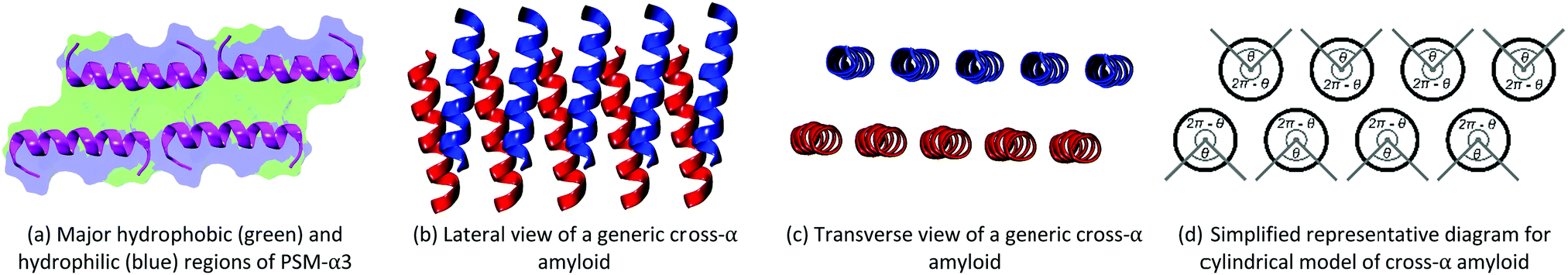 Mimicking cross-α amyloids