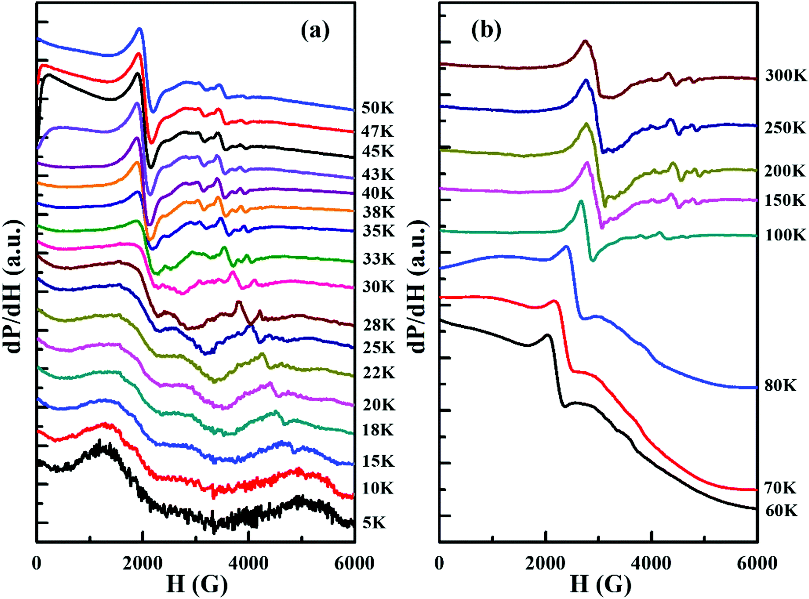 Magnetic compensation and critical behavior in spinel Co 2