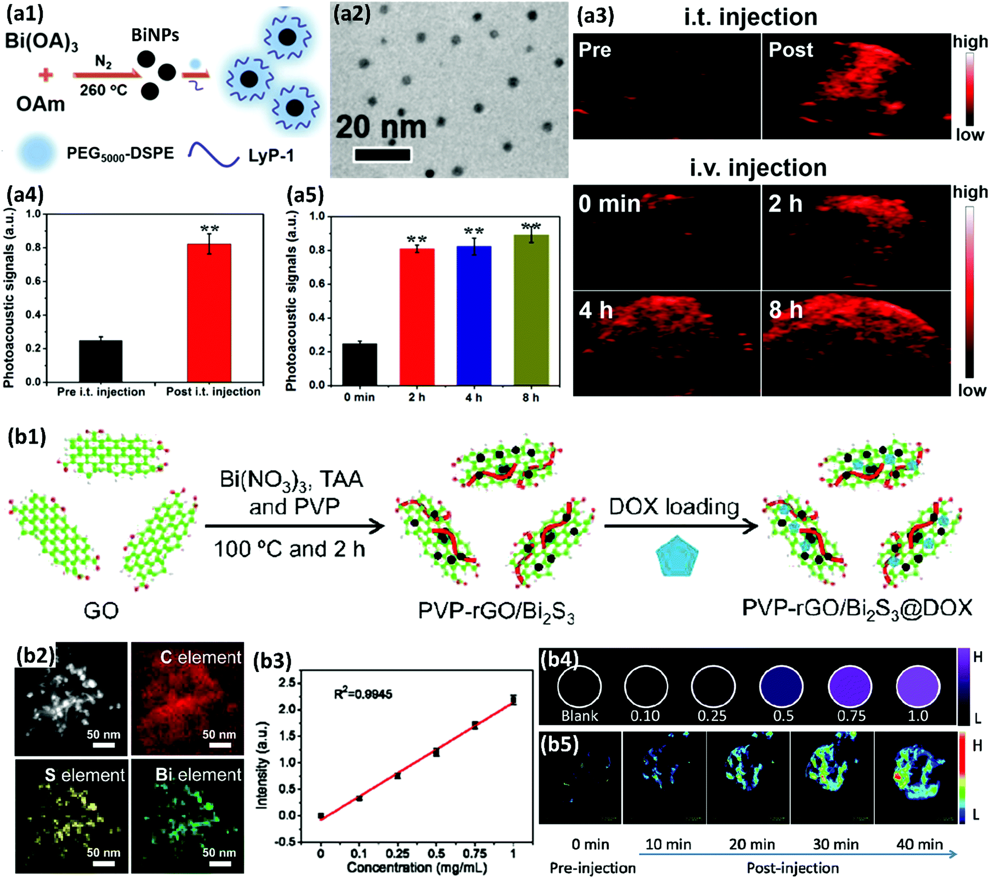 The Versatile Biomedical Applications Of Bismuth Based