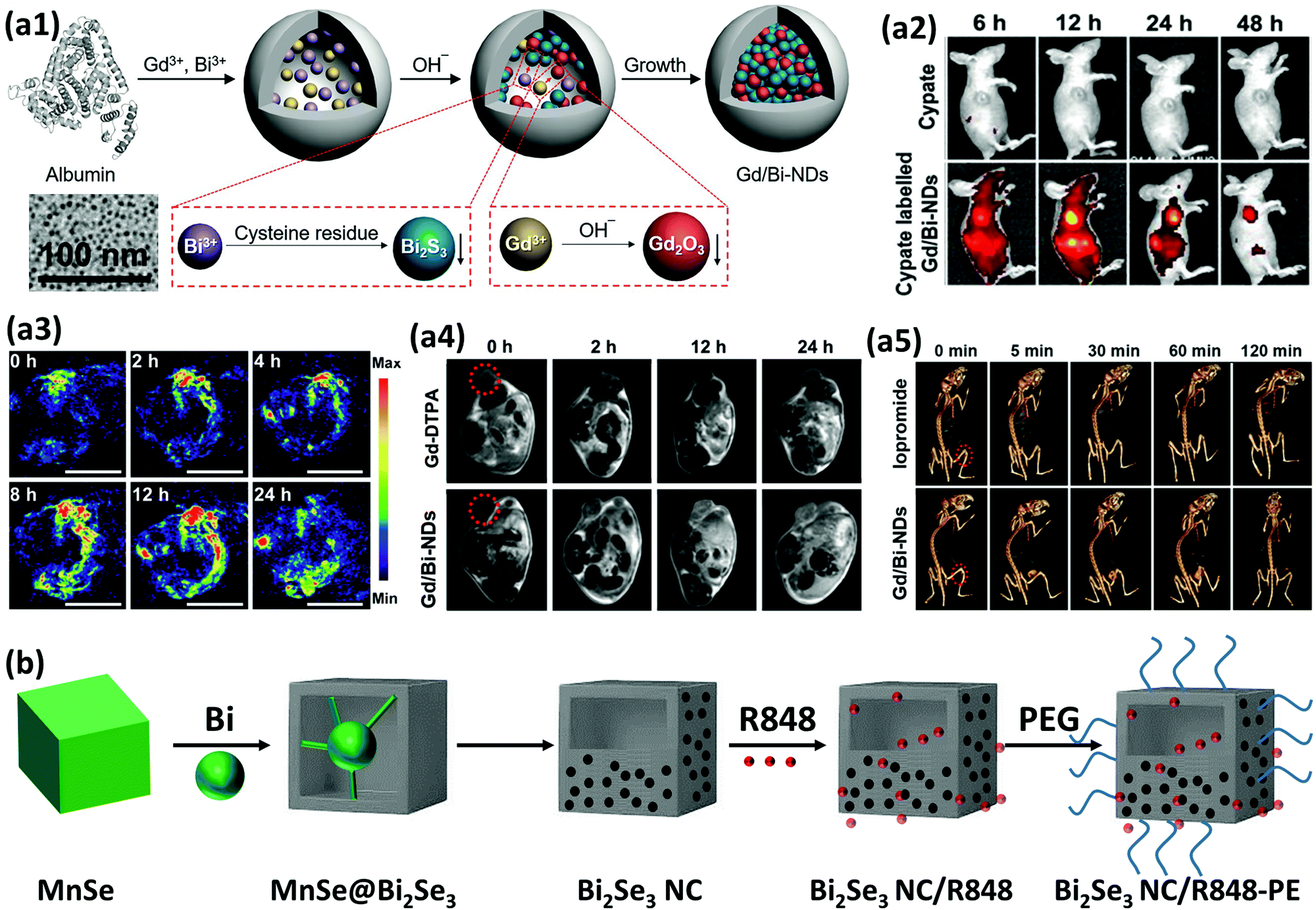 The Versatile Biomedical Applications Of Bismuth Based Nanoparticles And Composites Therapeutic Diagnostic Biosensing And Regenerative Properties Chemical Society Reviews Rsc Publishing Doi 10 1039 C9cs002a