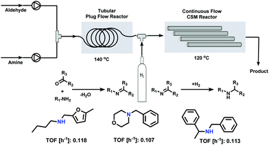 Catalytic Reductive Aminations Using Molecular Hydrogen For Synthesis Of Different Kinds Of Amines Chemical Society Reviews Rsc Publishing Doi 10 1039 C9csc