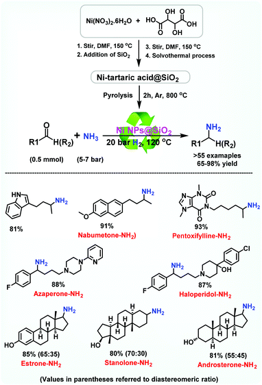 Catalytic Reductive Aminations Using Molecular Hydrogen For Synthesis Of Different Kinds Of Amines Chemical Society Reviews Rsc Publishing Doi 10 1039 C9csc