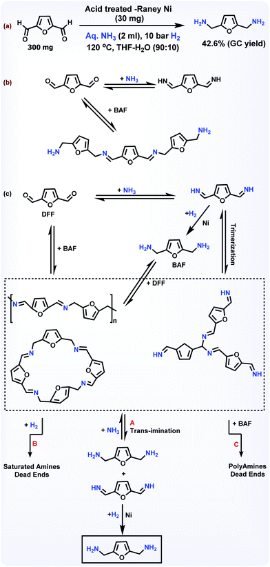 Catalytic Reductive Aminations Using Molecular Hydrogen For Synthesis Of Different Kinds Of Amines Chemical Society Reviews Rsc Publishing Doi 10 1039 C9csc
