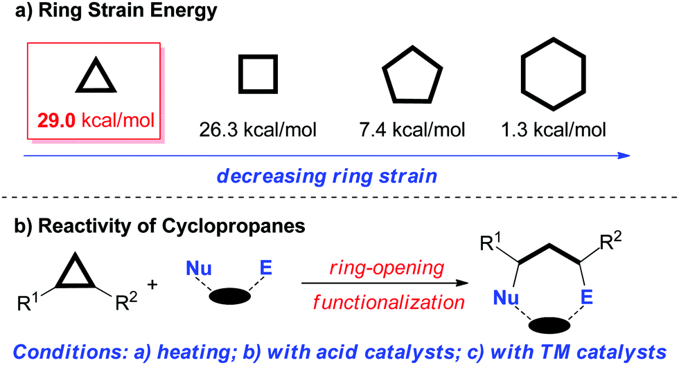 7-Membered Ring Nitrogen Heterocycles – ChemInfoGraphic