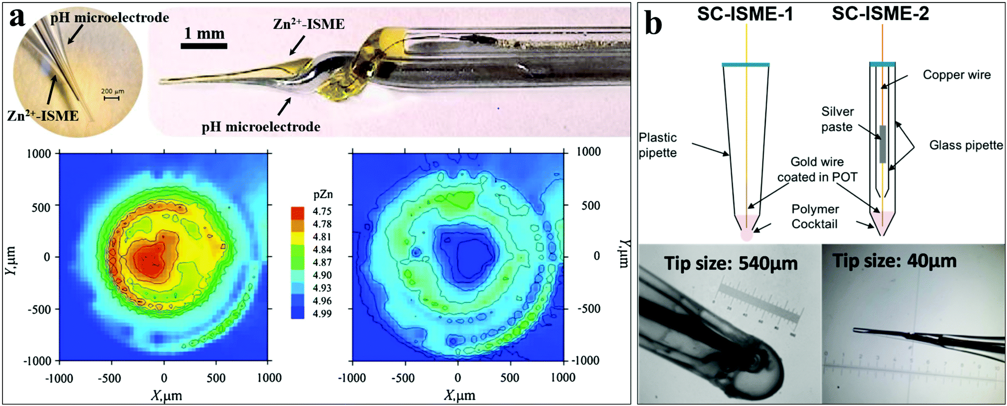 Recent Advances In Solid Contact Ion Selective Electrodes Functional Materials Transduction Mechanisms And Development Trends Chemical Society Reviews Rsc Publishing Doi 10 1039 C9csk