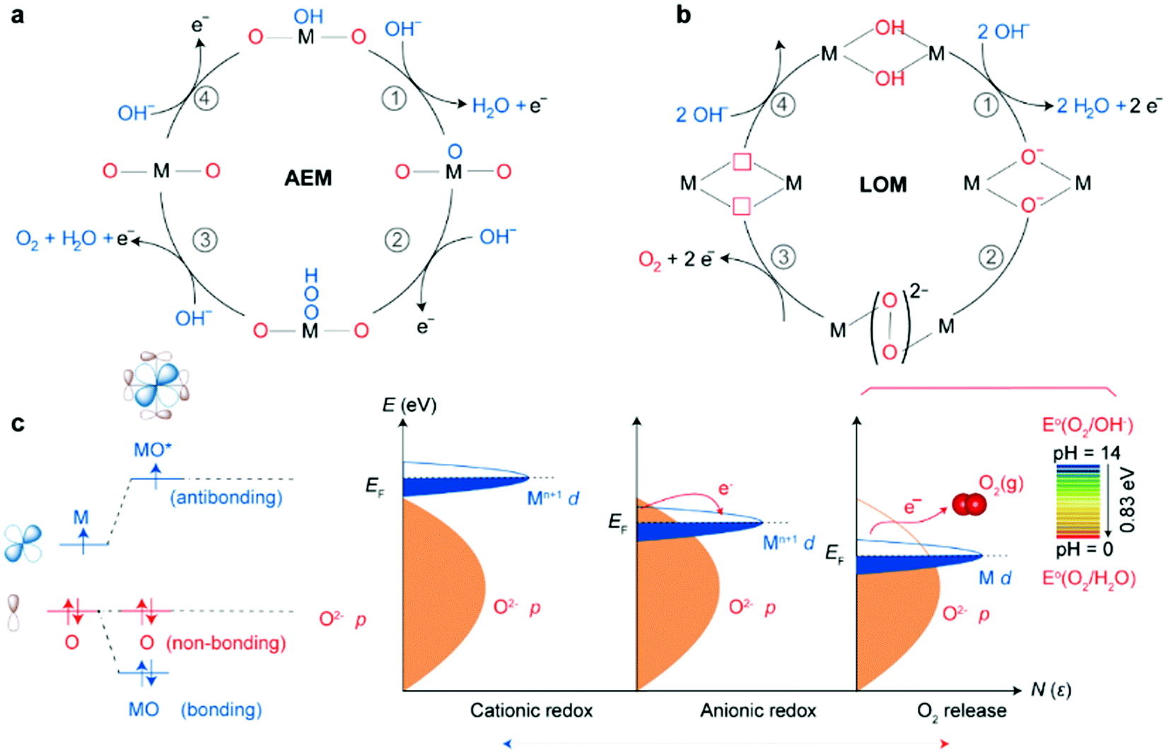 A review on fundamentals for designing oxygen evolution 