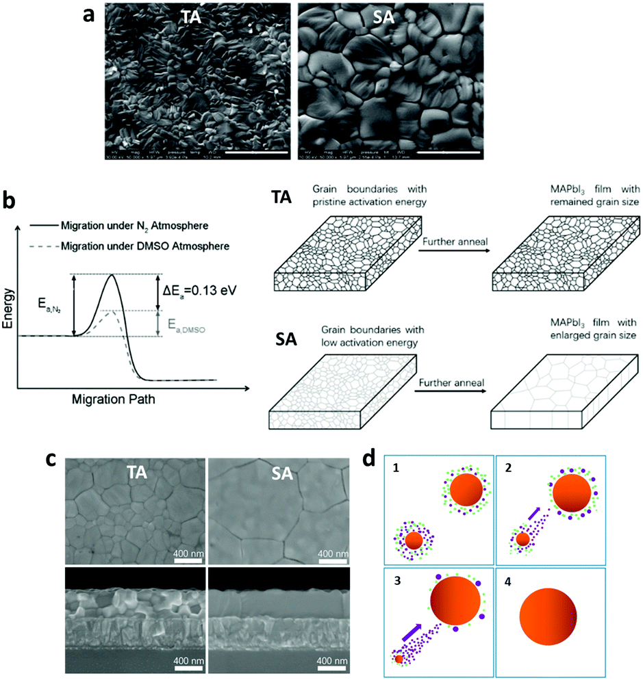 Understanding of perovskite crystal growth and film