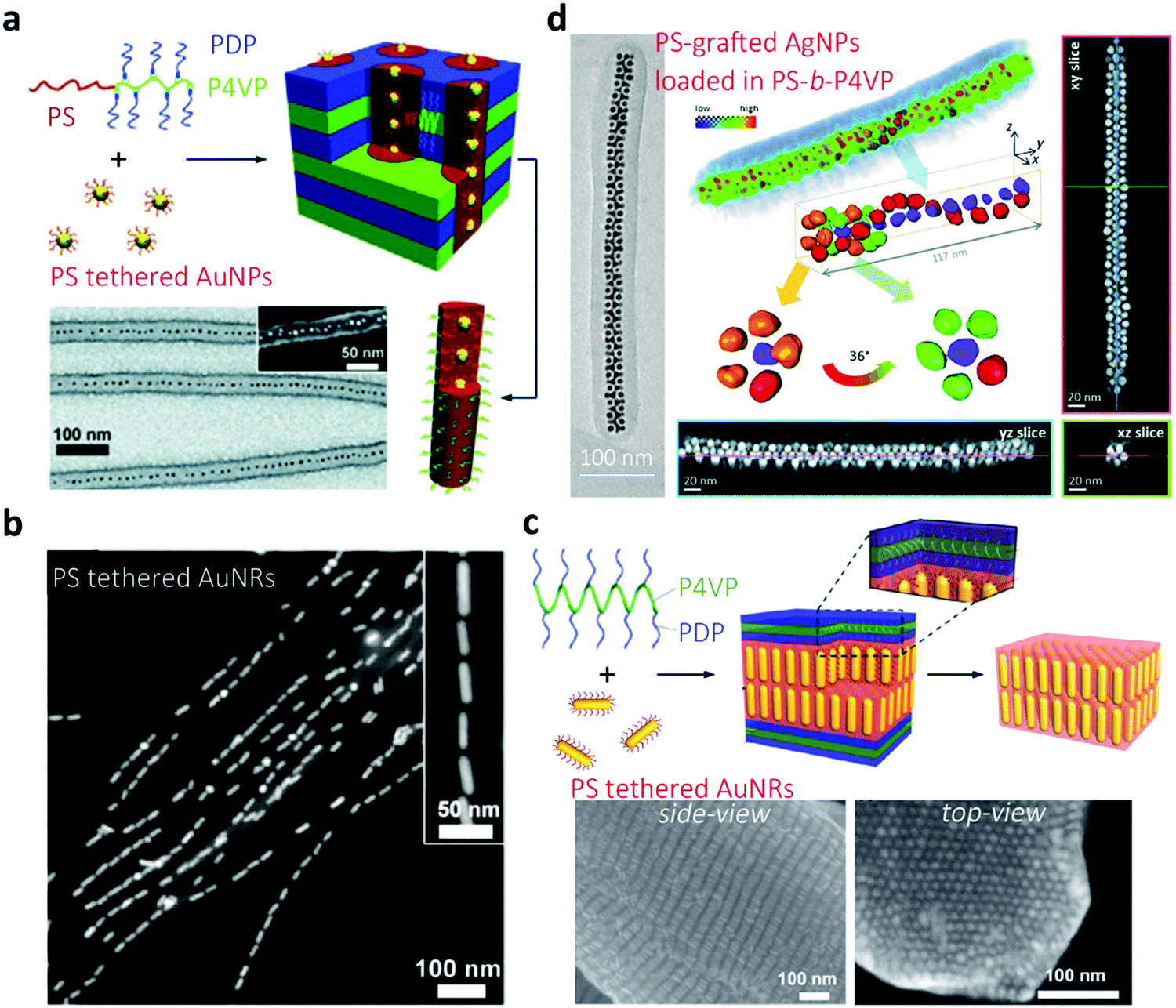 Polymer-guided assembly of inorganic nanoparticles - Chemical