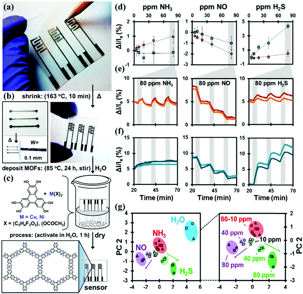 Functional metal–organic frameworks as effective sensors of