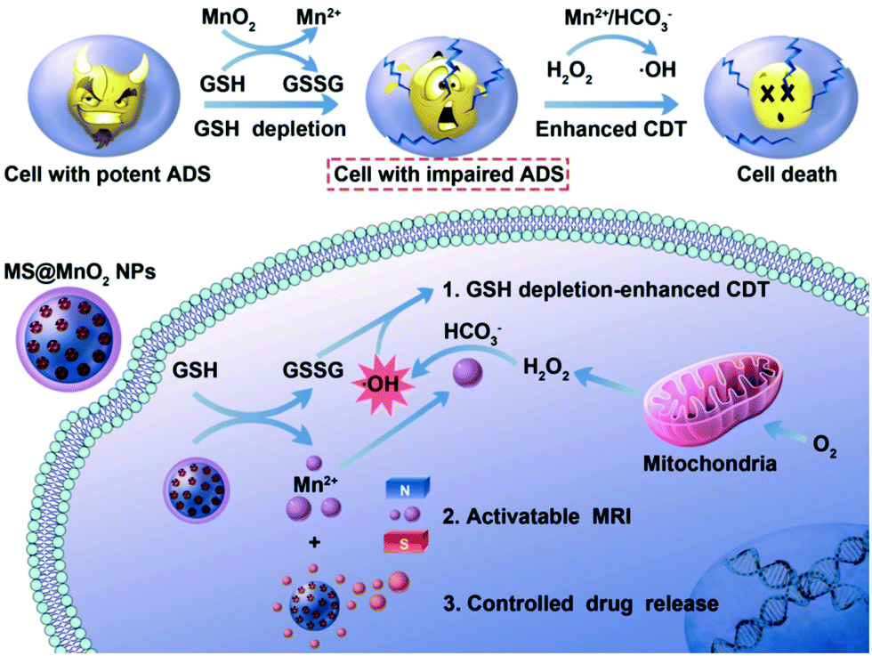 Degradation-by-design: how chemical functionalization