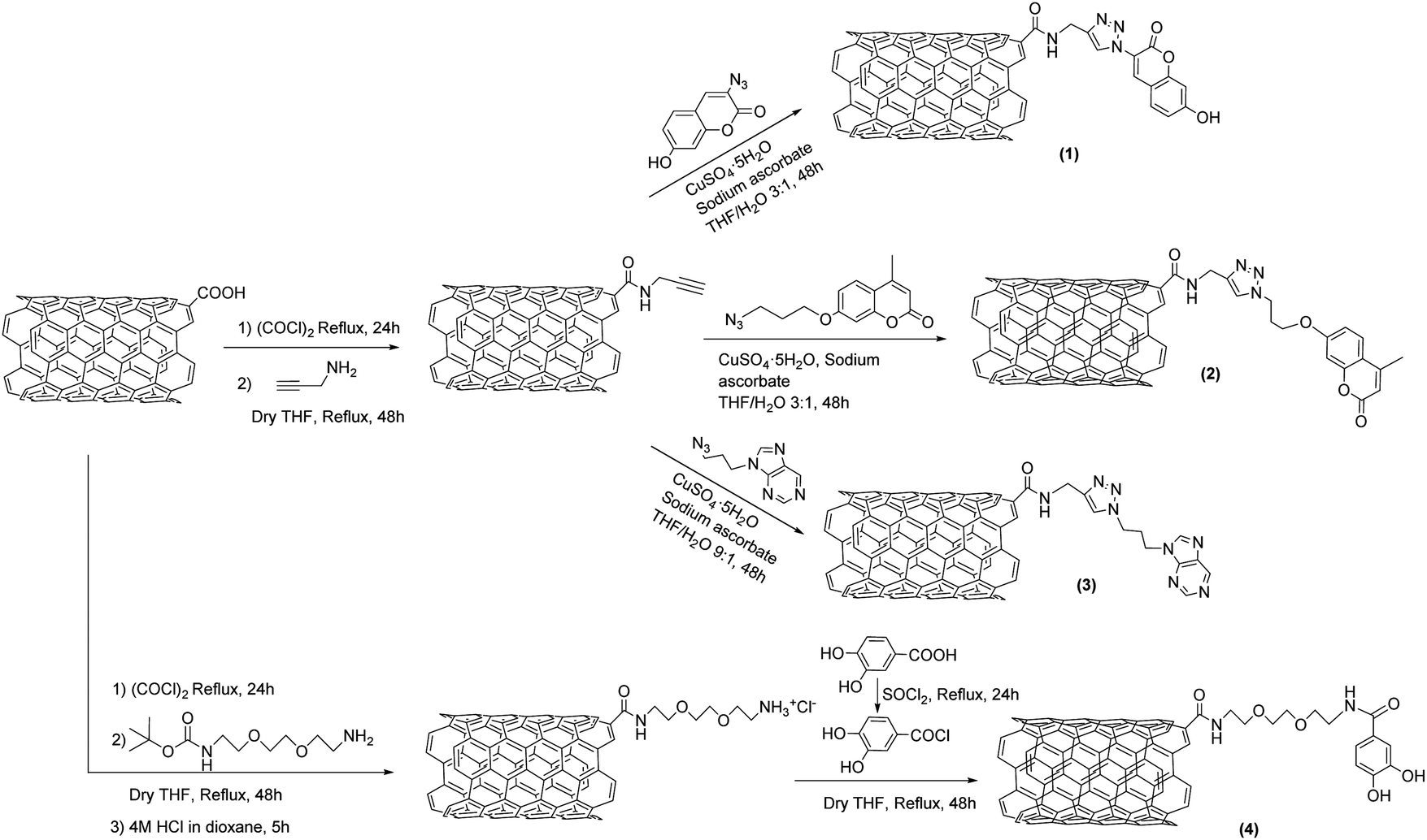 Ta Degradation-by-design: how chemical functionalization