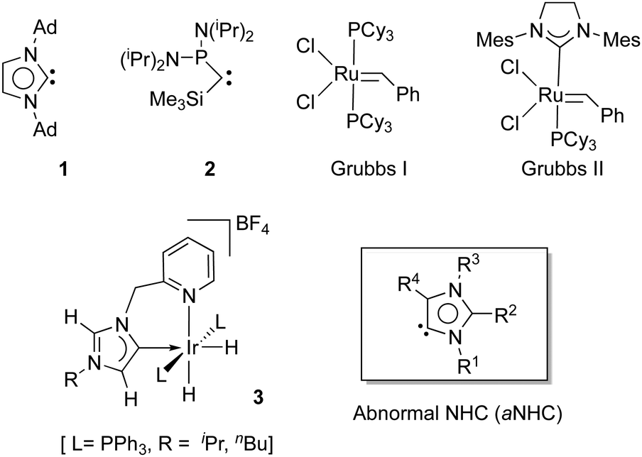 Stable abnormal N-heterocyclic carbenes and their applications