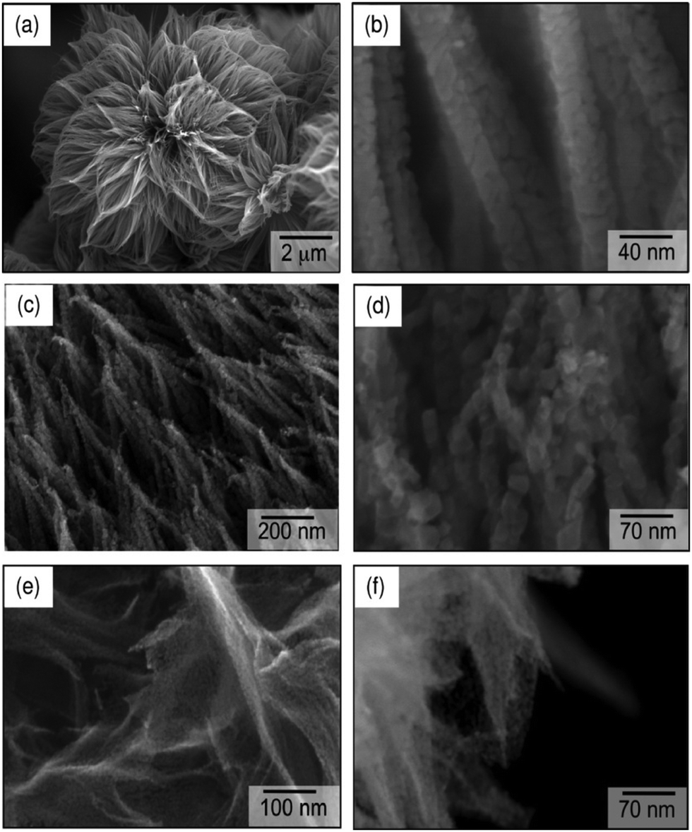 ym WP Xplor Forks Husqvarna Enduro R 701 20-23 KTM 690 19-23