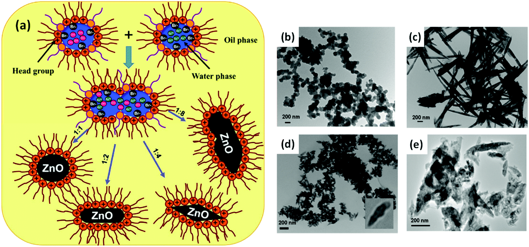 Controlling the morphology of metal–organic frameworks and Controlling the morphology of metal–organic frameworks and
