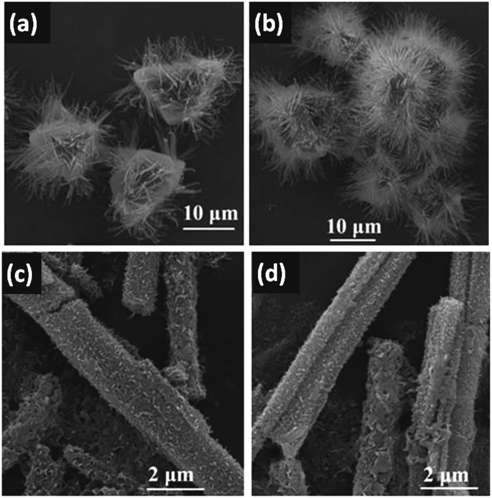 Controlling the morphology of metal–organic frameworks and