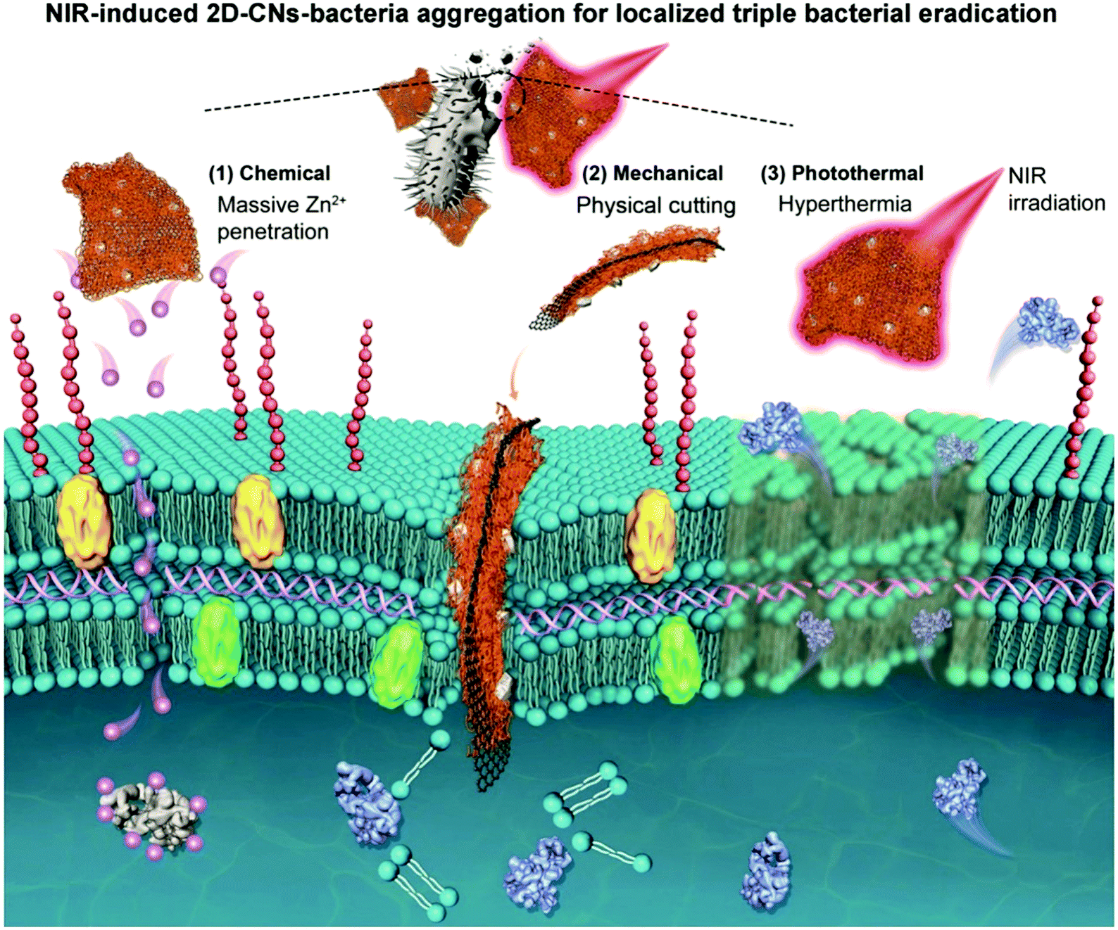 Controlling The Morphology Of Metal Organic Frameworks And Porous Carbon Materials Metal Oxides As Primary Architecture Directing Agents Chemical Society Reviews Rsc Publishing Doi 10 1039 C9cs00871c