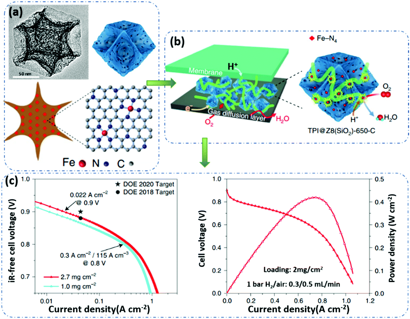 Atomically dispersed metal–nitrogen–carbon catalysts for fuel