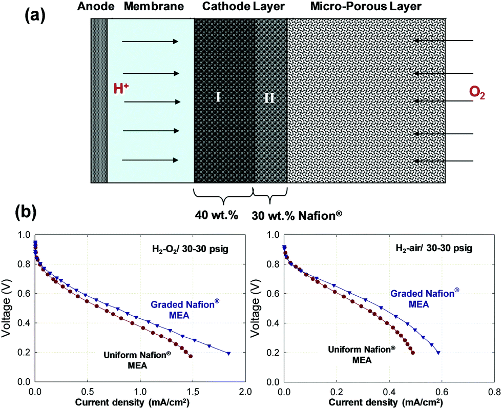 Atomically dispersed metal–nitrogen–carbon catalysts for