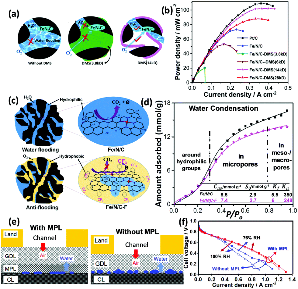 Atomically dispersed metal–nitrogen–carbon catalysts for