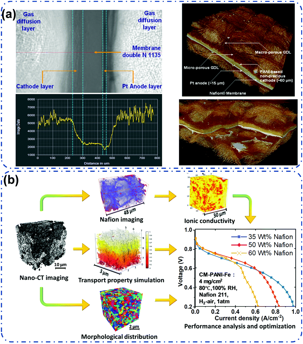 Atomically dispersed metal–nitrogen–carbon catalysts for fuel 