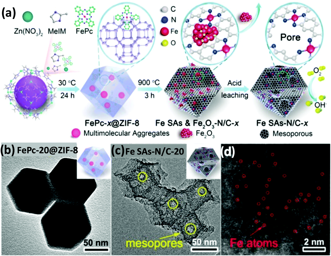 Atomically dispersed metal–nitrogen–carbon catalysts for Atomically dispersed metal–nitrogen–carbon catalysts for