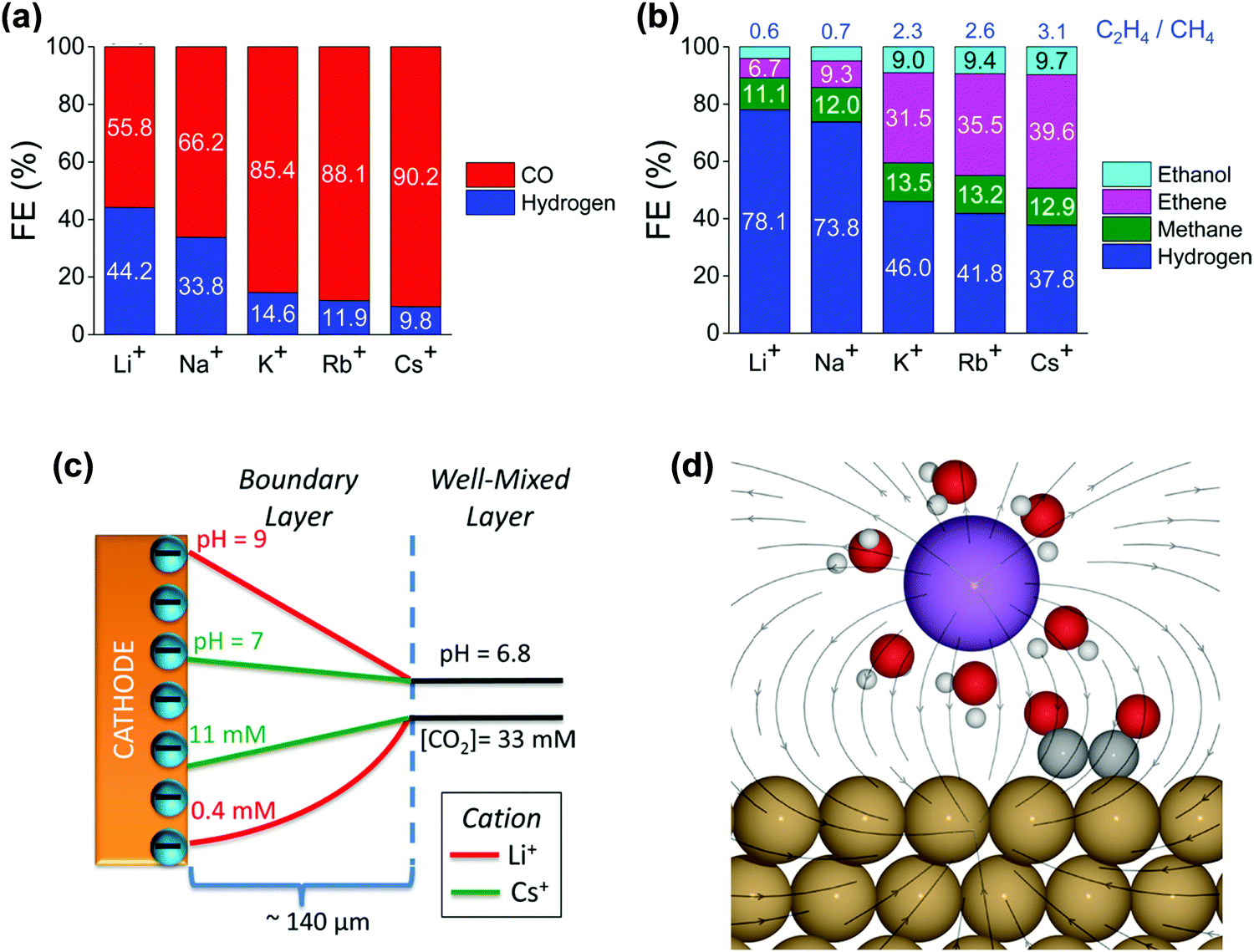 Catalyst electrolyte interface chemistry for electrochemical CO 2