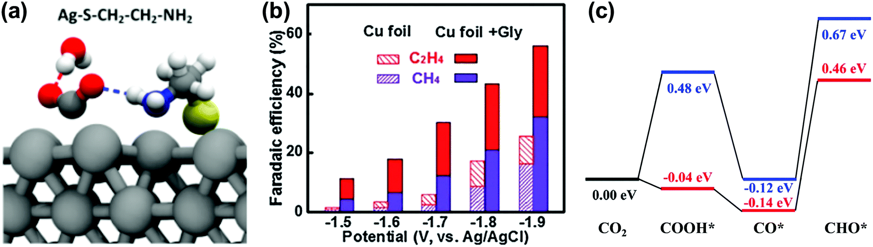 Catalyst–electrolyte interface chemistry for electrochemical CO 2