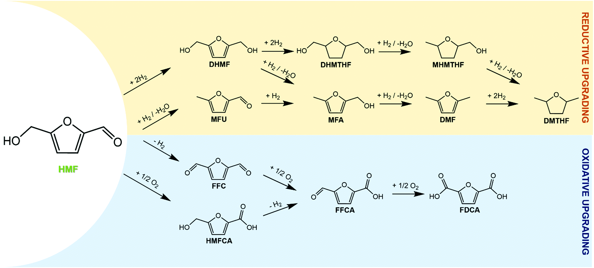Recent Catalytic Routes For The Preparation And The Upgrading Of Biomass Derived Furfural And 5 Hydroxymethylfurfural Chemical Society Reviews Rsc Publishing Doi 10 1039 D0csh