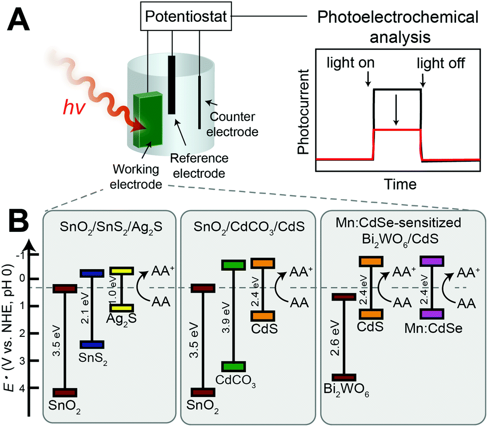 chemical sensing platforms for detecting trace level alzheimer s core biomarkers chemical society reviews rsc publishing doi 10 1039 d0cs00107d