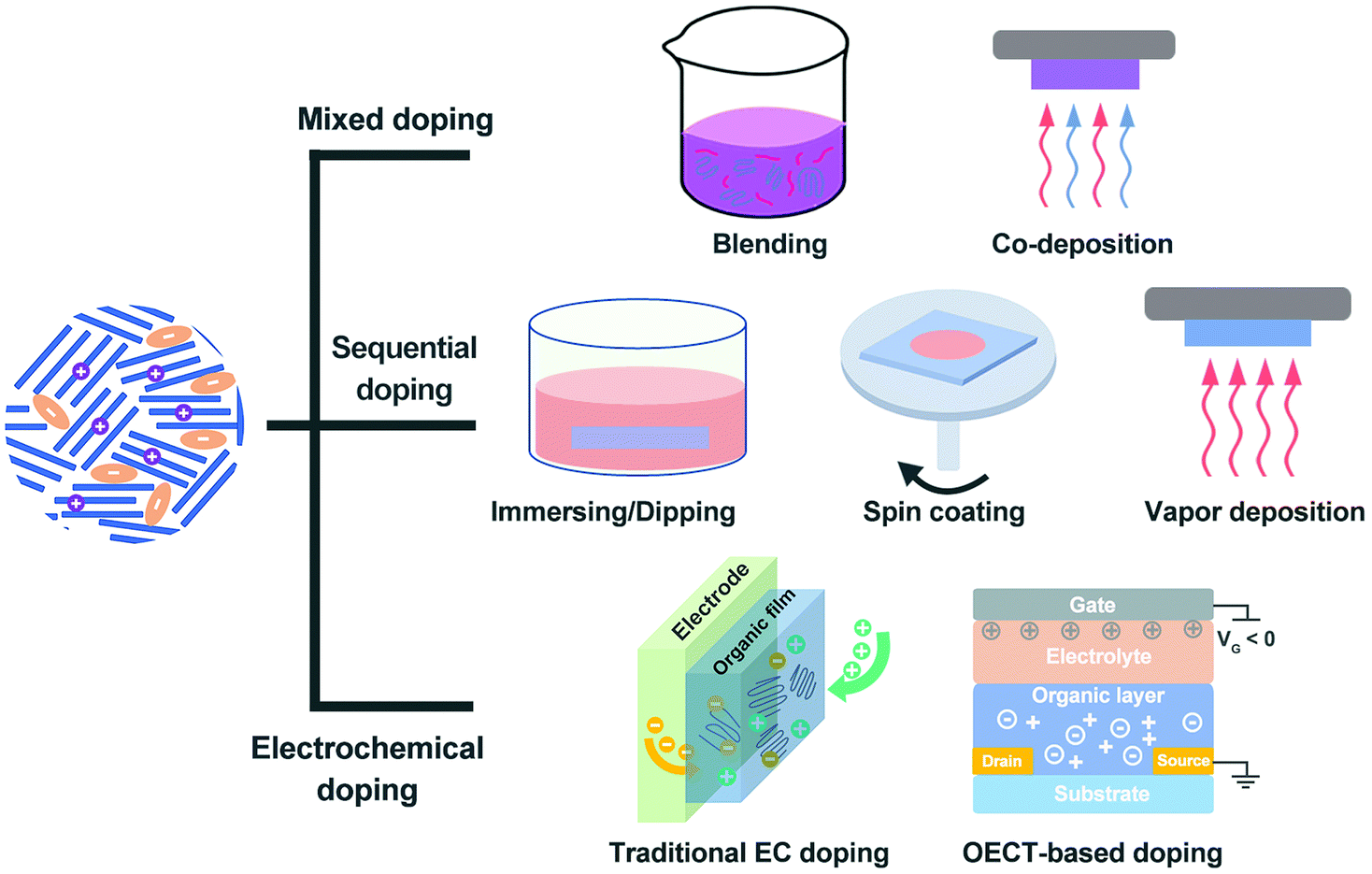 Chemical doping of organic semiconductors for thermoelectric