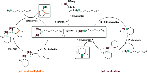 Titanium catalysis for the synthesis of fine chemicals  
