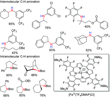 Iron- and cobalt-catalyzed C(sp 3 )–H bond functionalization