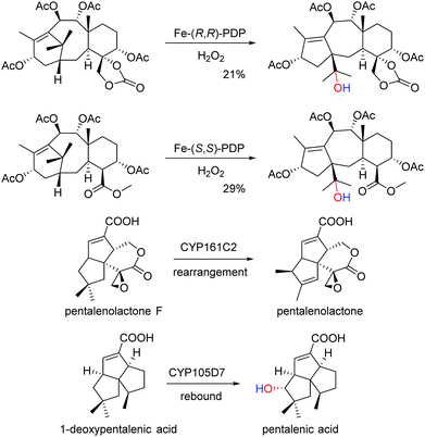 Iron And Cobalt Catalyzed C Sp 3 H Bond Functionalization Reactions And Their Application In Organic Synthesis Chemical Society Reviews Rsc Publishing Doi 10 1039 D0csa