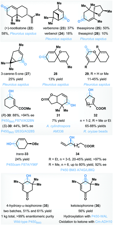 Scalable Biocatalytic C H Oxyfunctionalization Reactions Chemical Society Reviews Rsc Publishing Doi 10 1039 D0cse