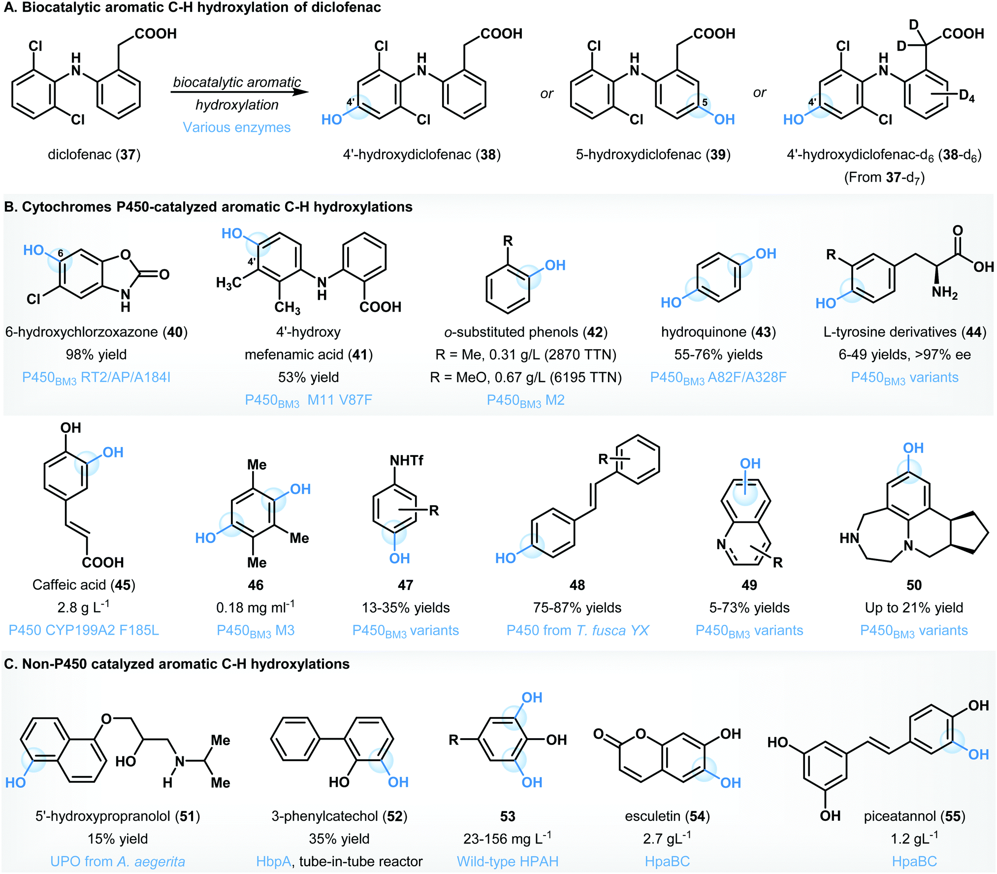 Scalable Biocatalytic C H Oxyfunctionalization Reactions Chemical Society Reviews Rsc Publishing Doi 10 1039 D0cse