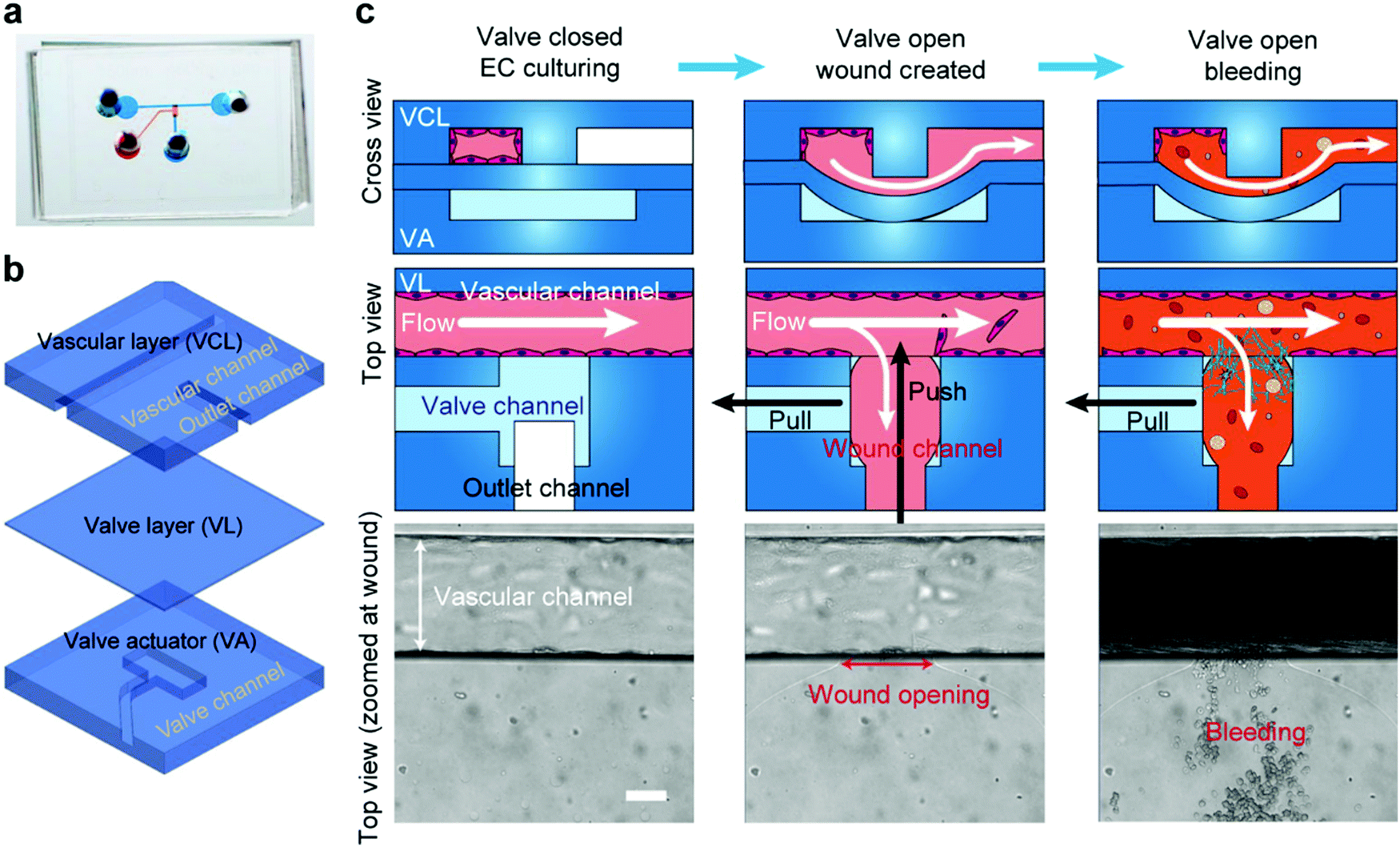 Long cilia P‐silk/RG e‐skin monitors human respiration. a) Response of